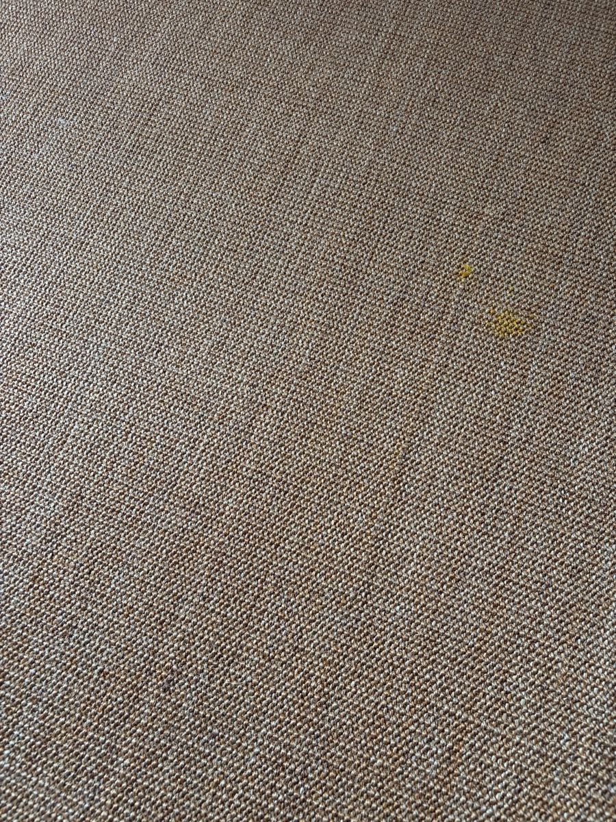 Tappeti: Sisal Teppich L – Usato da Freidorf TG venduto da ibipatria 1