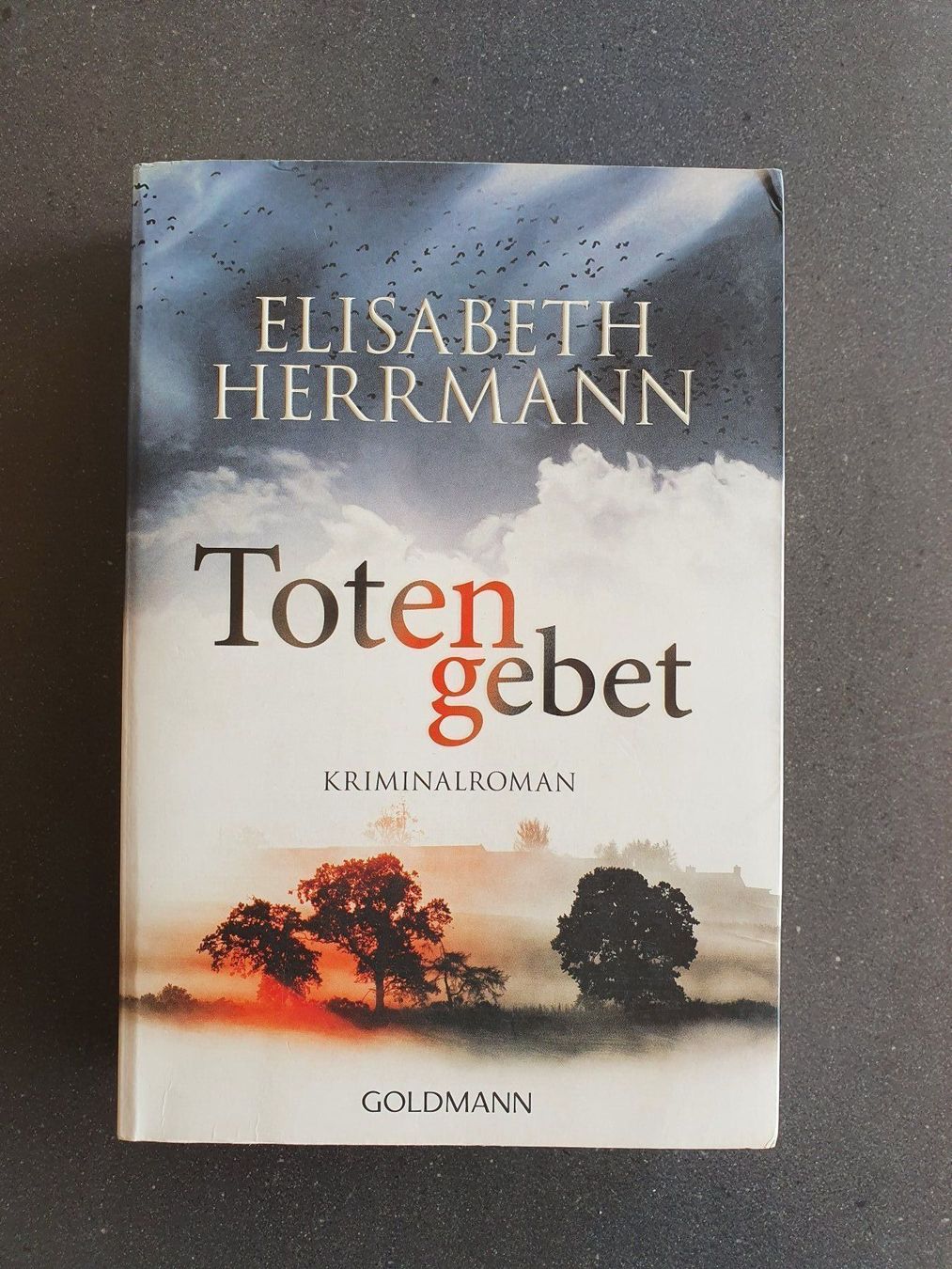 Libri: Buch Totengebet Elisabeth Herrmann – Usato da Giswil venduto da monimaus08