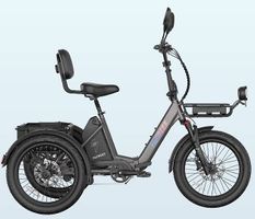 Fafrees F20 Mate II Elektro-Dreirad Dunkelgrau