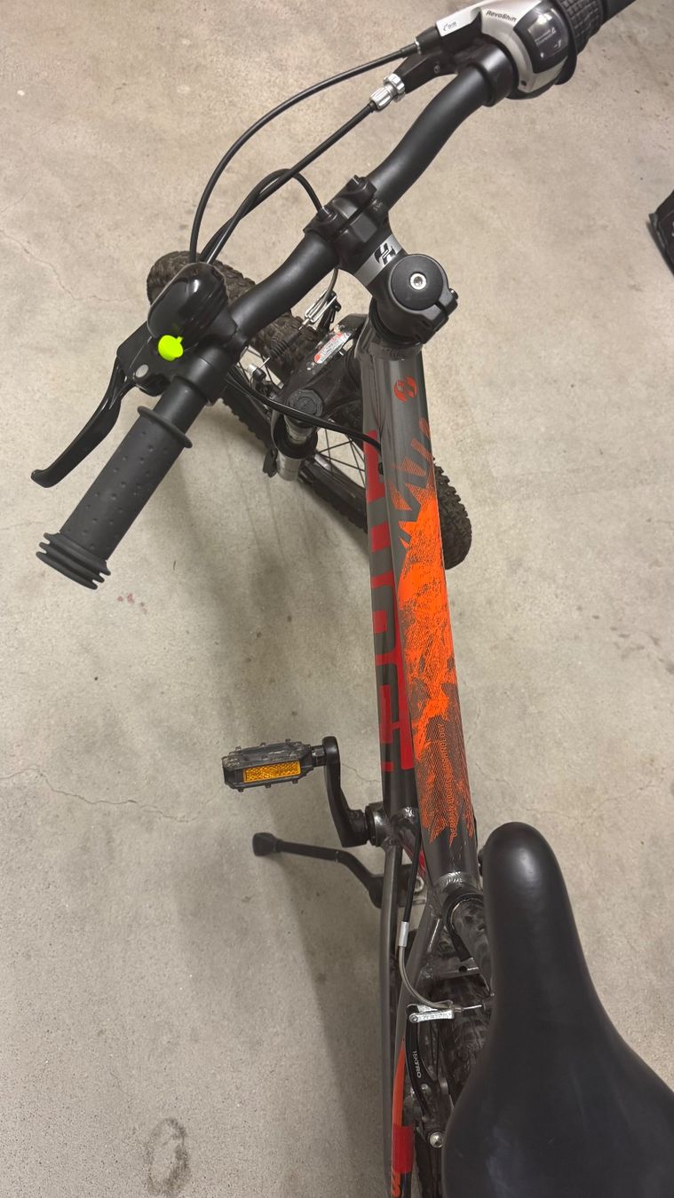 Biciclette: Kinderfahrrad 20 Zoll – Usato da Unterengstringen venduto da RILORAMO 4