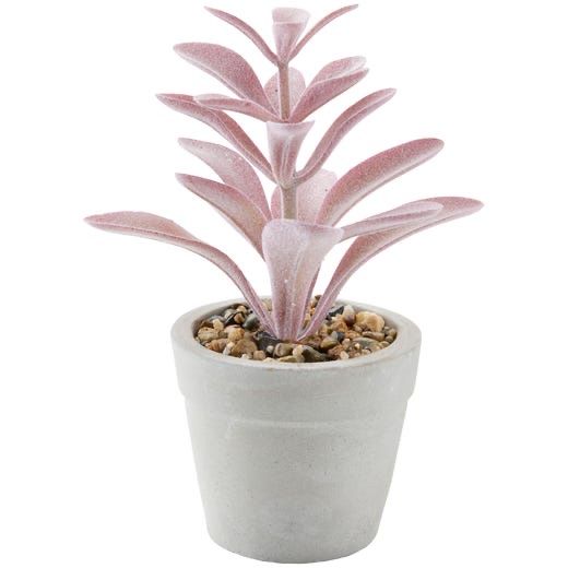 Jysk Alle Dekorationen: 4 plantes Jysk – Neu (gemäss Beschreibung) aus Morges von rclm