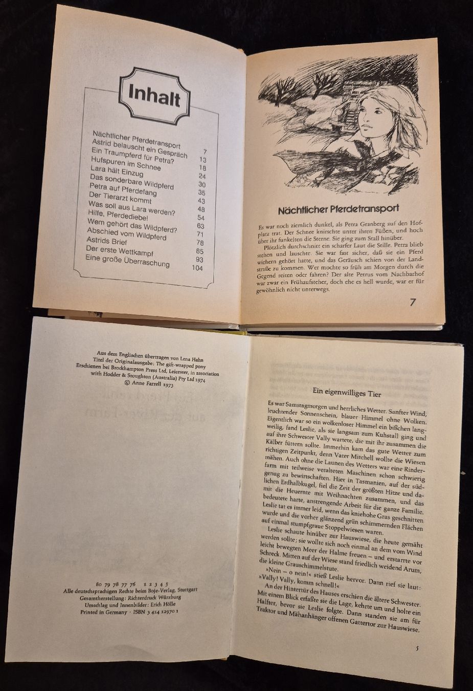 Libri: 2 Pferde-Bücher, Pferdegeschichten Set! – Usato da Halten venduto da GiMu.84 3