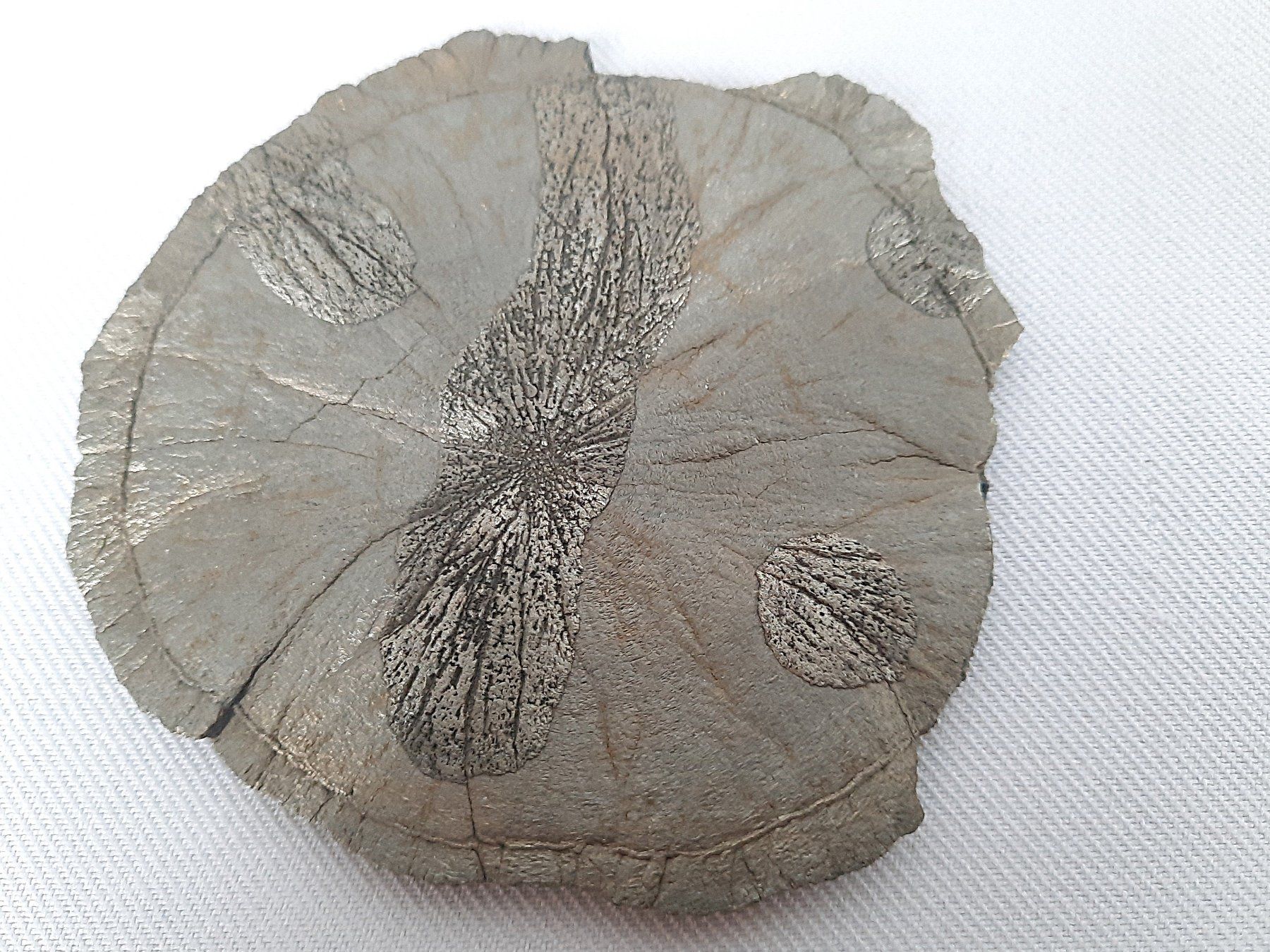 Mineralien & Heilsteine: Pyrit- Sonne – Gebraucht aus Beinwil am See von Restwert_Beinwil