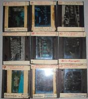 Foto-Glasplatten, König von Bayern