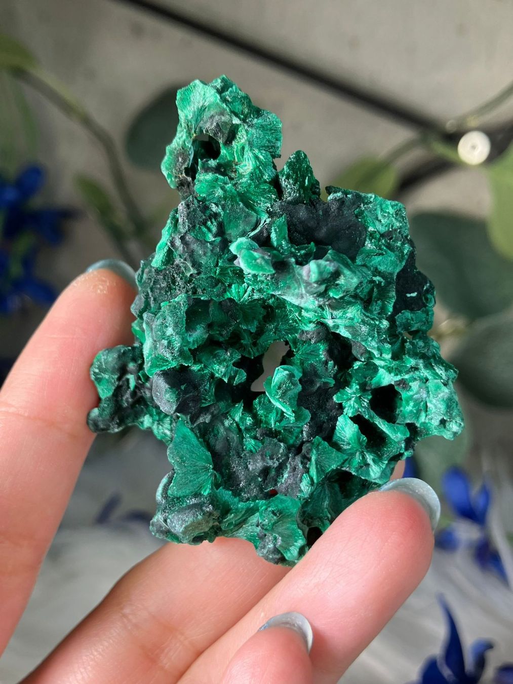 Minerali & Pietre curative: Malachit – Nuovo (secondo la descrizione) da Neuheim venduto da m.hald 3