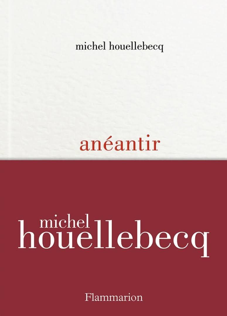 Livres: Anéantir – D'occasion à Neuchâtel par Dualseele