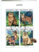 Block "Katzen". Mosambik.