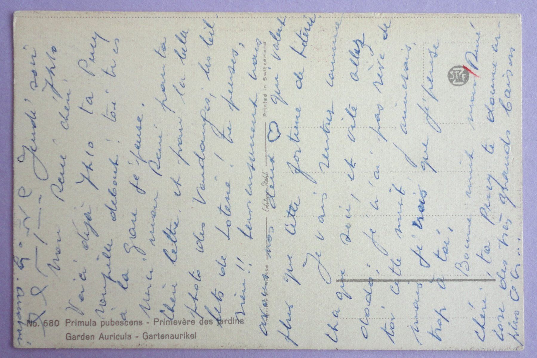 Cartoline postali: Primevère des jardins – Usato da Fétigny venduto da Billy2miny 1