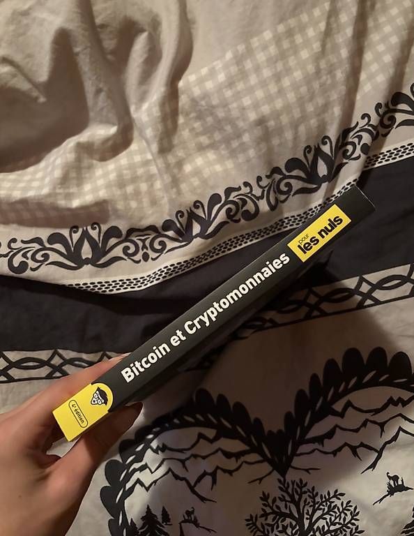 Bücher: Bitcoin et Cryptomonnaies pour les Nuls – Neu und originalverpackt aus Chamoson von ccarruzzo 2