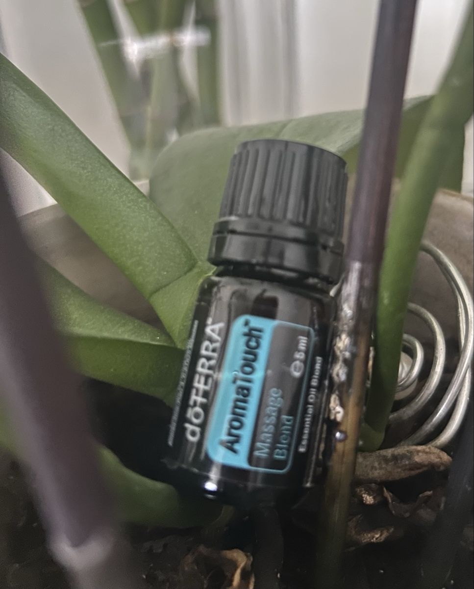 Doterra Ätherische Öle: Doterra Aromatouch ätherisches Öl 5ml – Neu und originalverpackt aus Allschwil von meeresperle