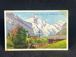Berner Alpen / Schweiz