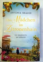 Das Mädchen im Zitronenhain Antonia Brauer