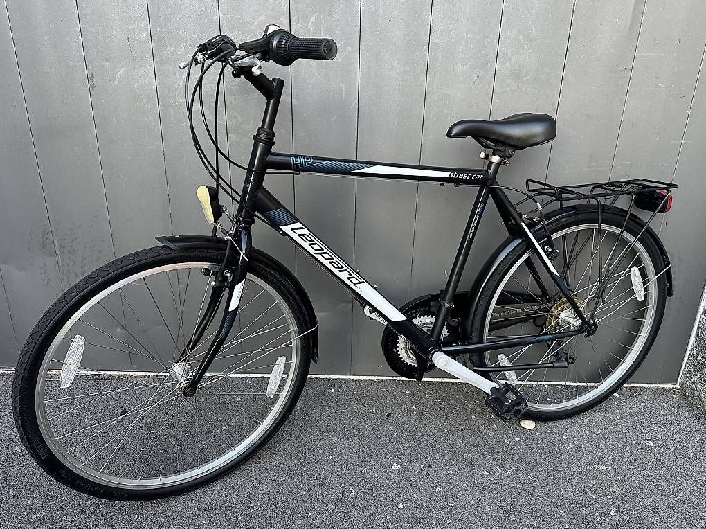 Biciclette: Bicicletta da uomo città Leopard 26  – Usato da Quartino venduto da DiloUsato 2