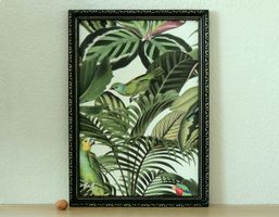 Oiseaux tropicaux, tableau Andrea Haase, édition John Lewis