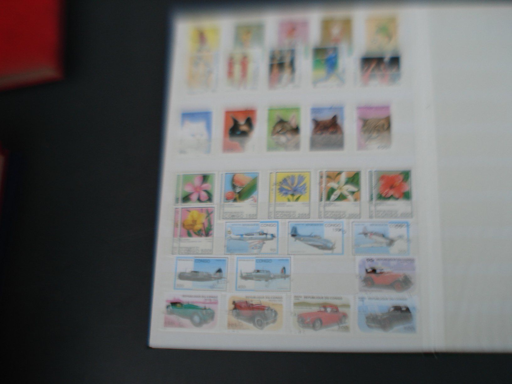 Tous les timbres: Album Congo 15 Seiten – D'occasion à Niederwil AG par morostahu 8