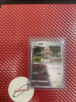 Pokemon Card Bibarel Chinese Edition - TG019/024