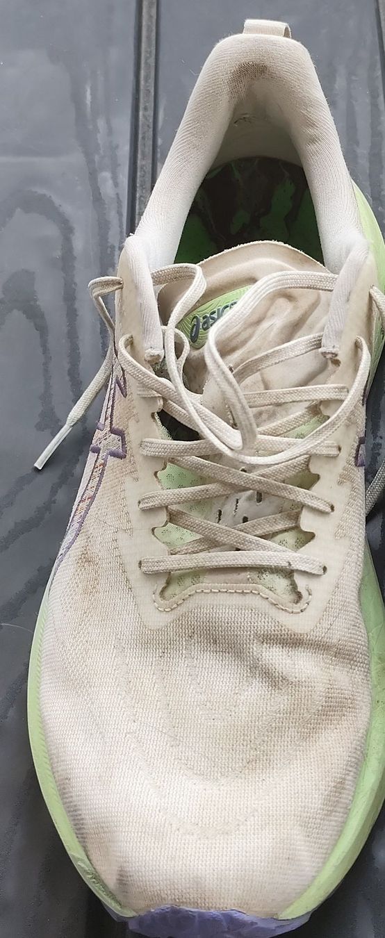 Herrenschuhe: Asics gt2000 tr13 350km usure – Gebraucht aus Neuchâtel von pie_8t6p
