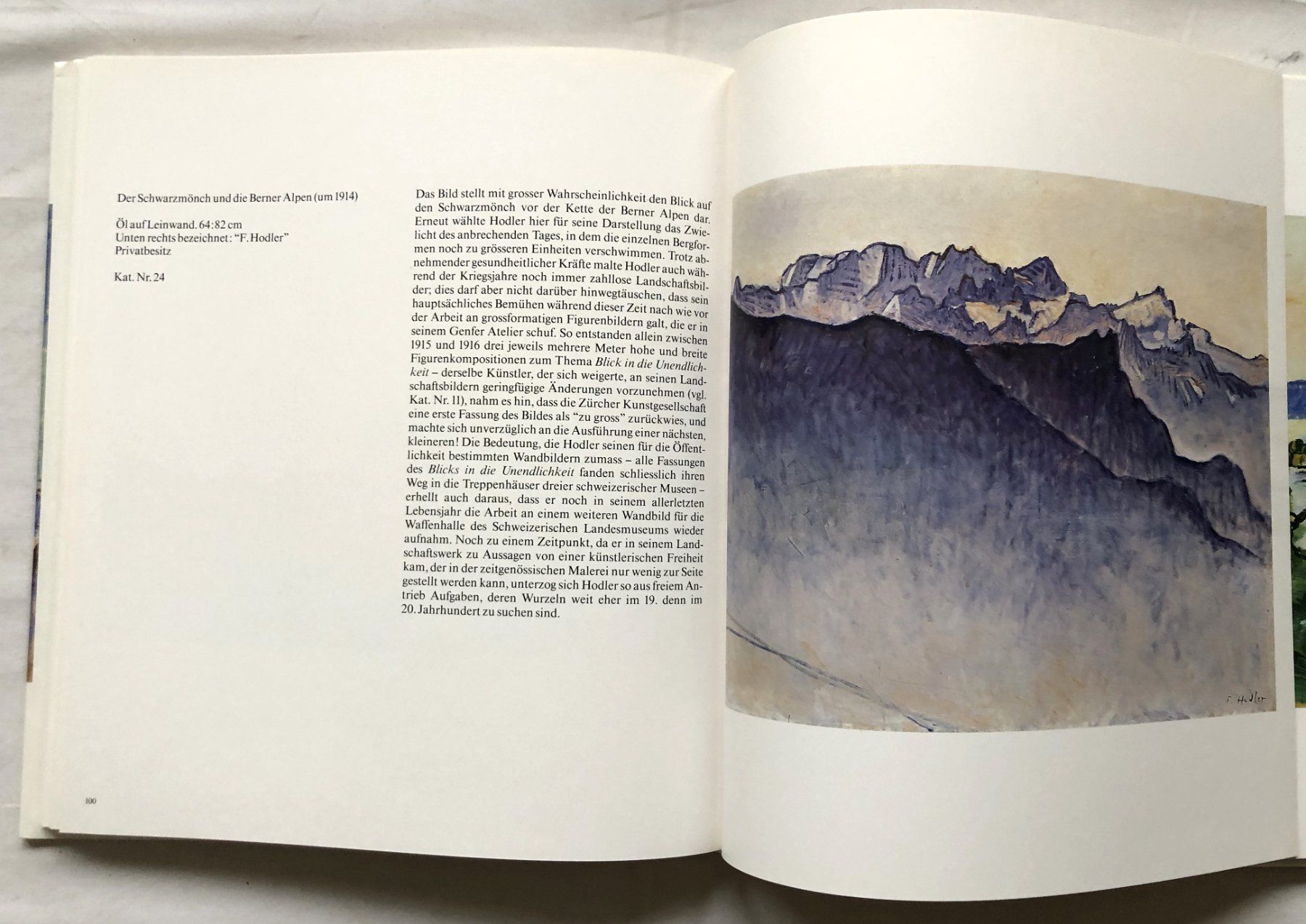 Libri: Ferdinand Hodler - Landschaften - Kunstband – Usato da Schaffhausen venduto da durruti 5