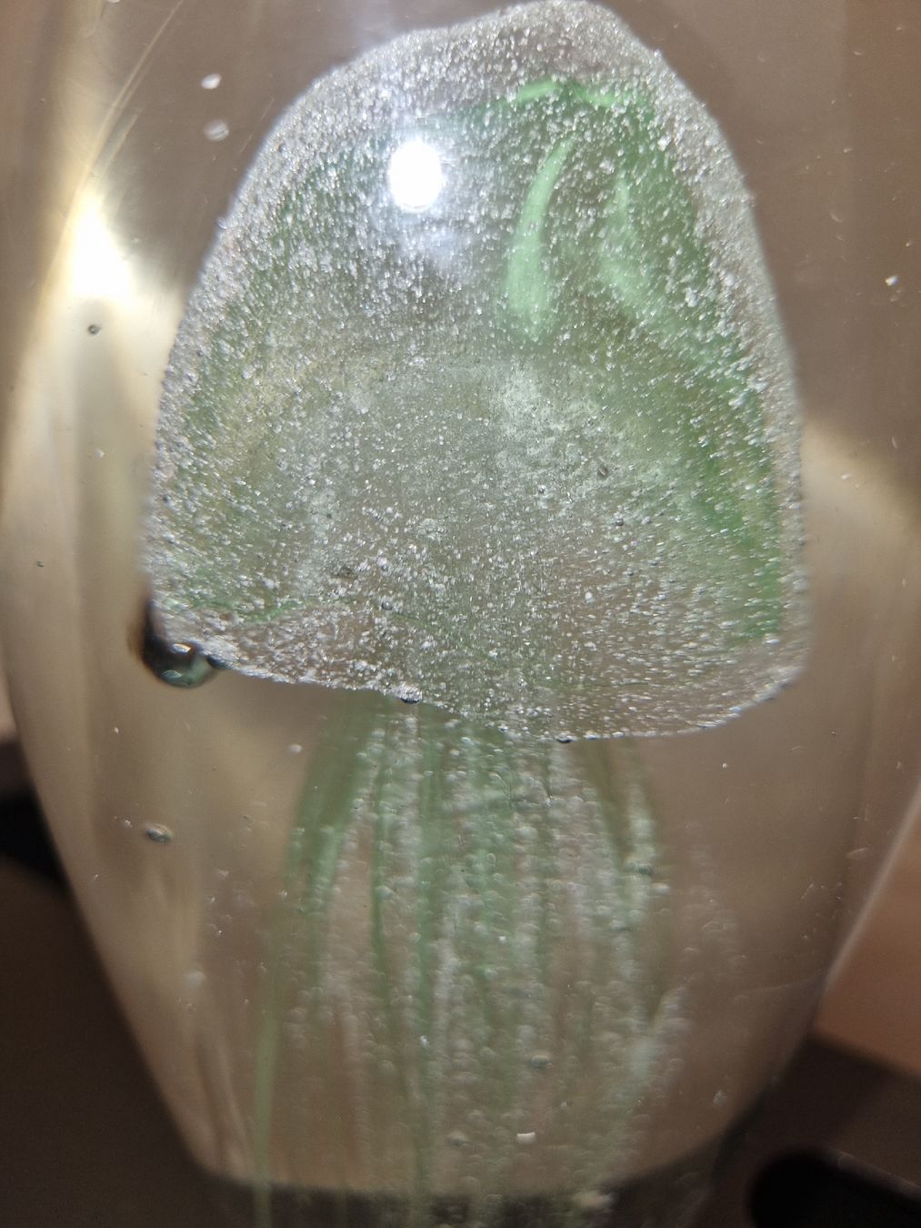 Murano Statuette: Superbe méduse en verre de Murano – Usato da Savièse venduto da rox_wpp5 3