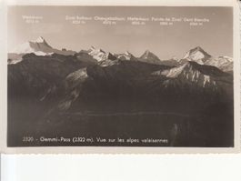 Gemmipass 1936