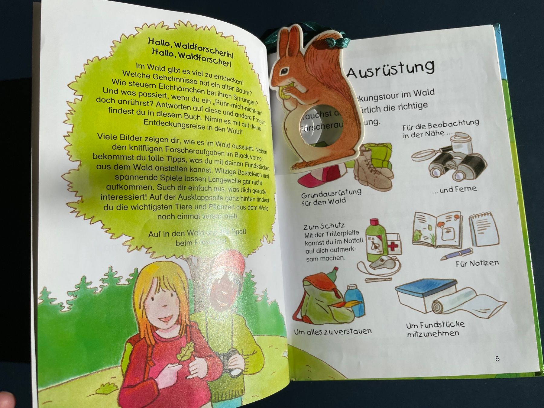 Bücher: Komm, entdecke den Wald! von Barbara Wernsing-Bottmeyer – Gebraucht aus Winterthur von calbecht 2