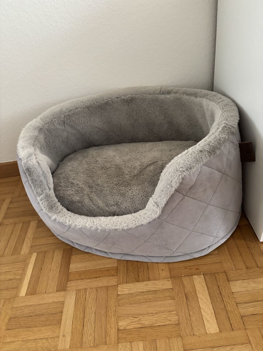 Tiragraffi: Katzen Zubehör Set - gebraucht – Usato da Baden venduto da che_qfy8 8