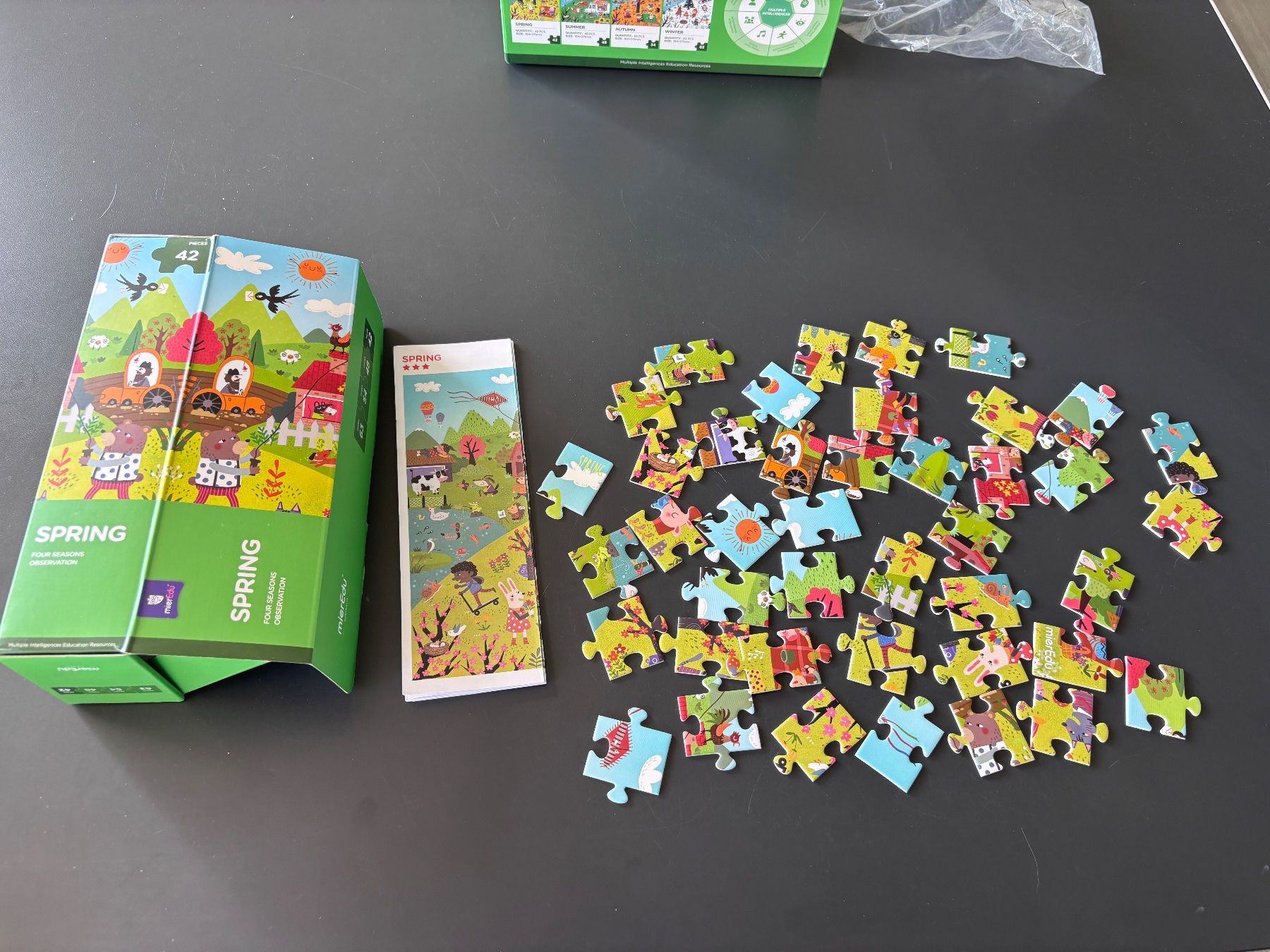 Puzzle: MierEdu Puzzle,  Four Seasons – Usato da Brugg AG venduto da tsannen 4