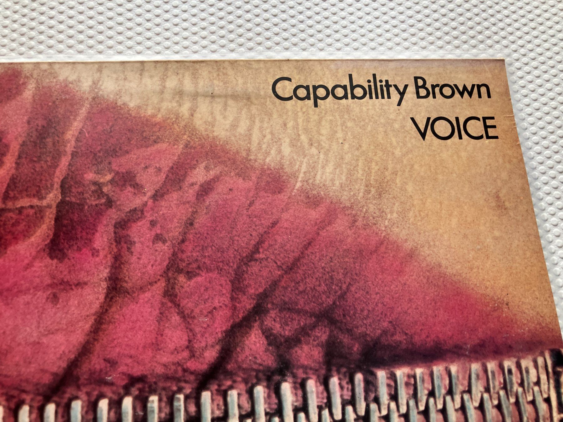 Dischi in vinile: Capability Brown – Usato da Aarwangen venduto da Jukebox3 1