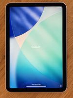 Apple iPad mini in Rosé, 64GB ohne Gebrauchsspuren