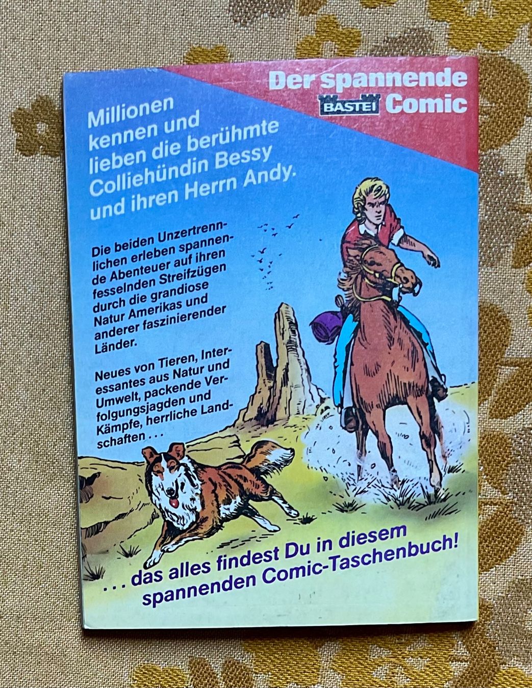 Comics: Bessy Taschenbuch Nr 19 – Gebraucht aus Endingen von nathan05 9