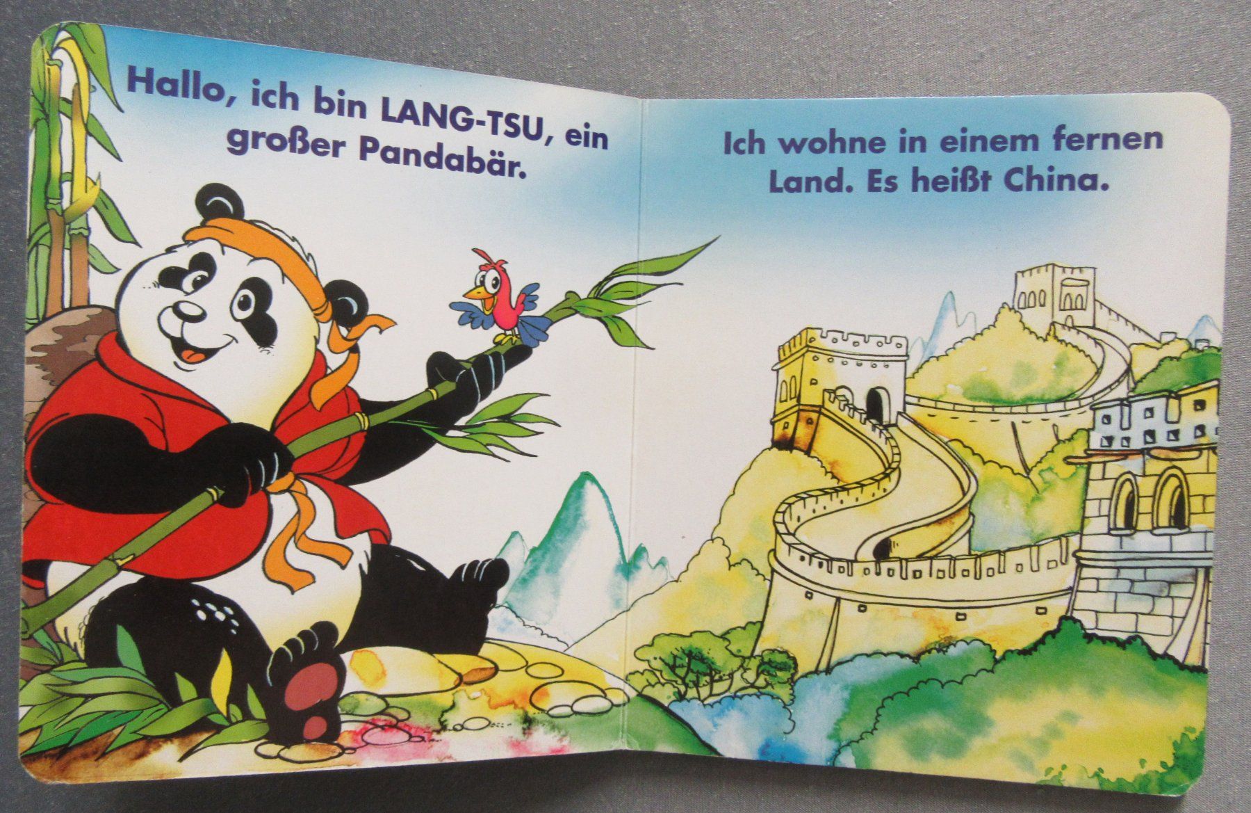 Bücher: Ich bin der grosse Panda - Bilderbuch - kartonierte Seiten – Gebraucht aus Auenstein von Padabimbim 1
