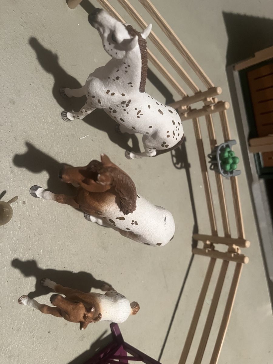 Giocattoli: Schleich Lisas Turnier-Training – Usato da Richterswil venduto da Doris150 1