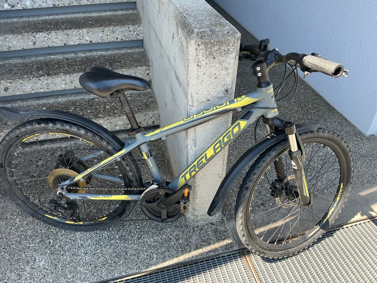 Trelago Biciclette: Trelago Mountainbike  – Usato da Mühleberg venduto da M-Oscar 1