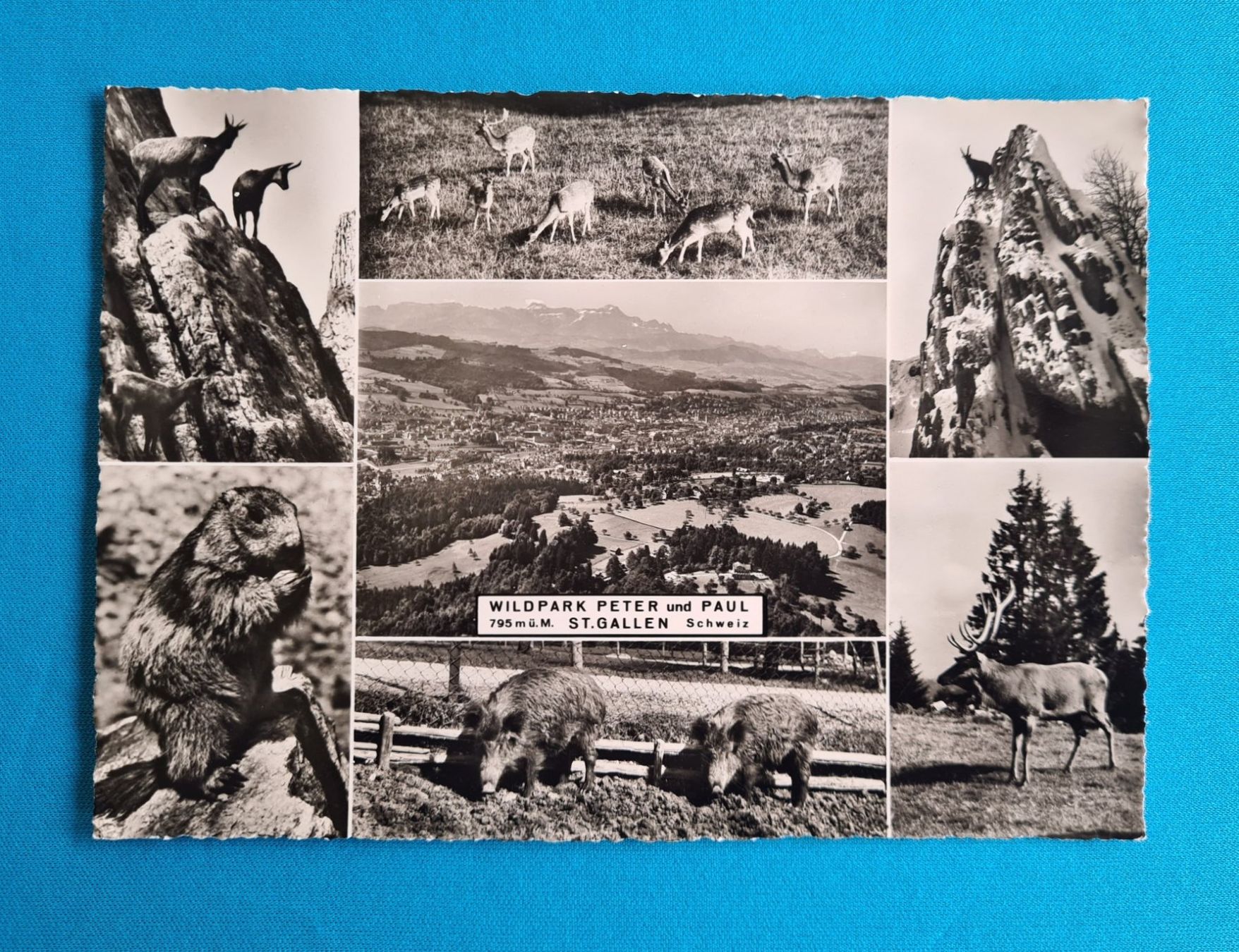 Ansichtskarten: Postkarte Schweiz – Neu (gemäss Beschreibung) aus Saland von V-Tour