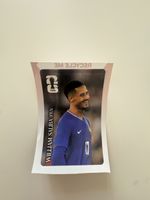 WILLIAM SALIBA COCA COLA PANINI stickers 