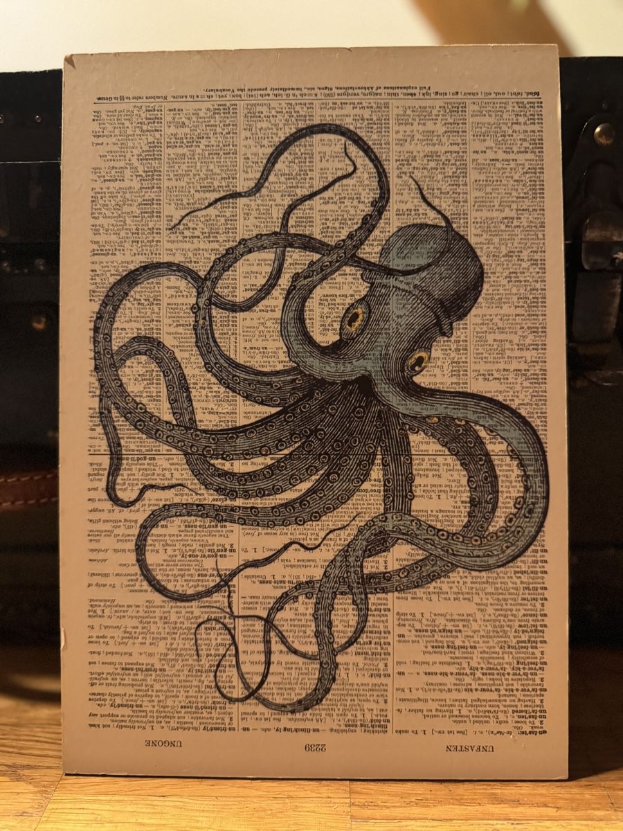 Foto & Immagini: Kraken Bild – Usato da Bauma venduto da Michelle.05 1