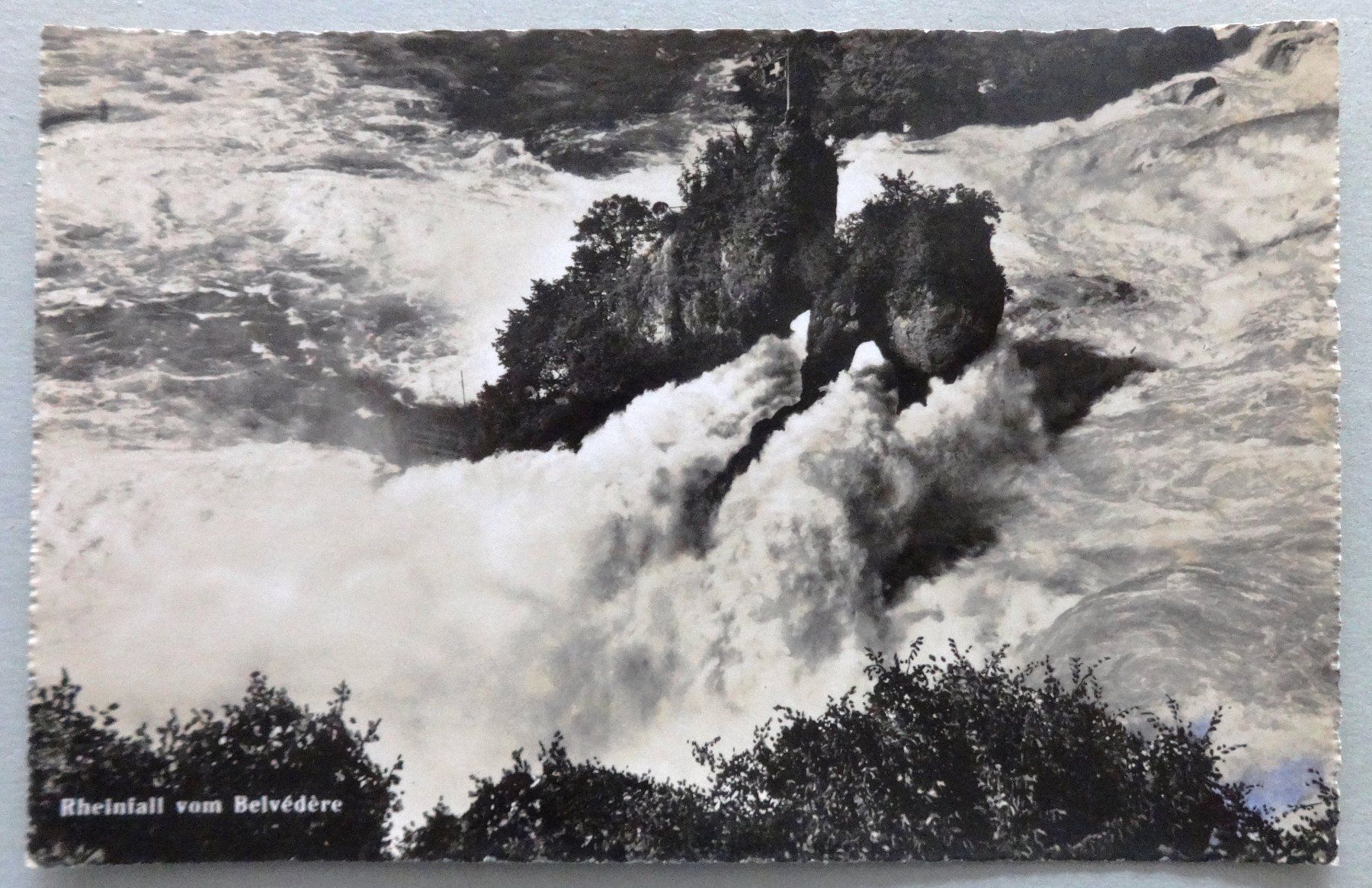Cartoline postali: Rheinfall vom Belvédère – Usato da Fétigny venduto da Billy2miny