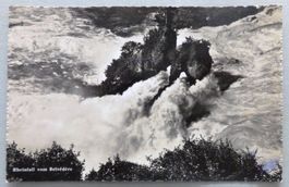 Rheinfall vom Belvédère