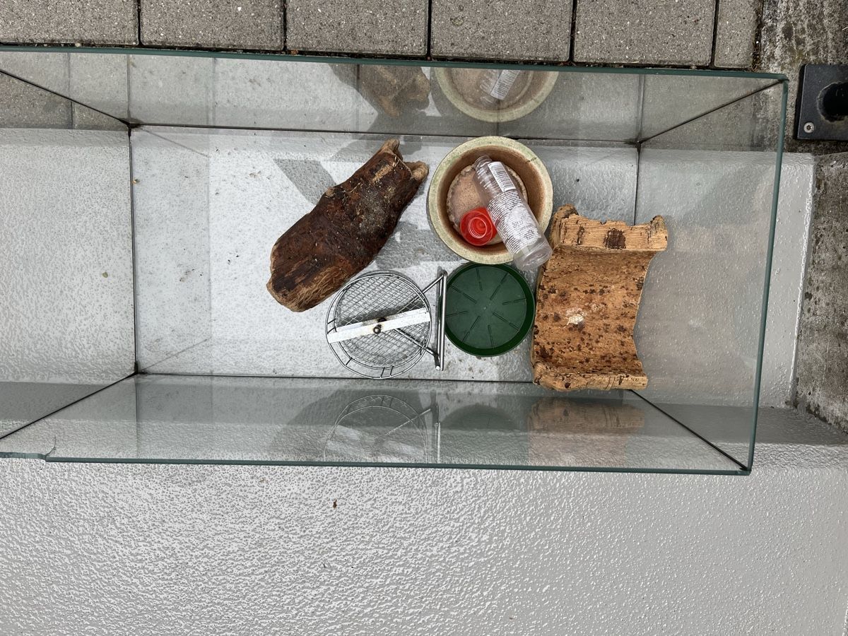 Gabbie, trasporto & Sicurezza: Hamsterkäfig – Usato da Freidorf TG venduto da ern_7s68 1