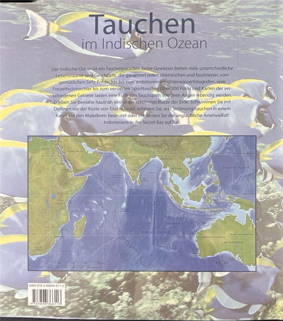 Libri: Tauchen im indischen Ozean – Nuovo e nell'imballaggio originale da Sarnen venduto da Livres 1