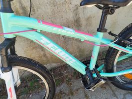 Kinder Mountainbike Team FTB 20 Zoll in Türkis