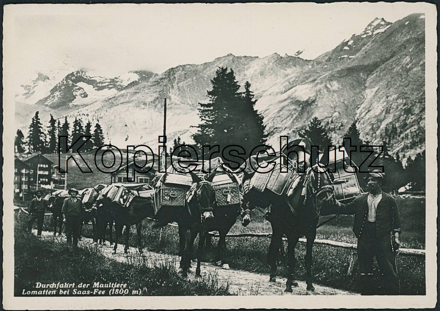 Cartoline postali: VS Lomatten - Maultierpost - Saas Fee – Usato da Schindellegi venduto da leecollect