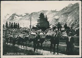 VS Lomatten - Maultierpost - Saas Fee