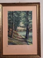Bild J.Gygli Waldpartie