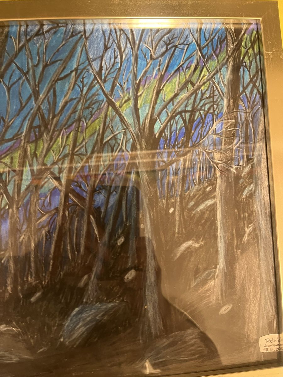 Foto & Immagini: Gerahmtes Bild "Winterwald" mit Schnee, Grösse 30x40cm – Nuovo (secondo la descrizione) da Oberentfelden venduto da kar_sd97 2