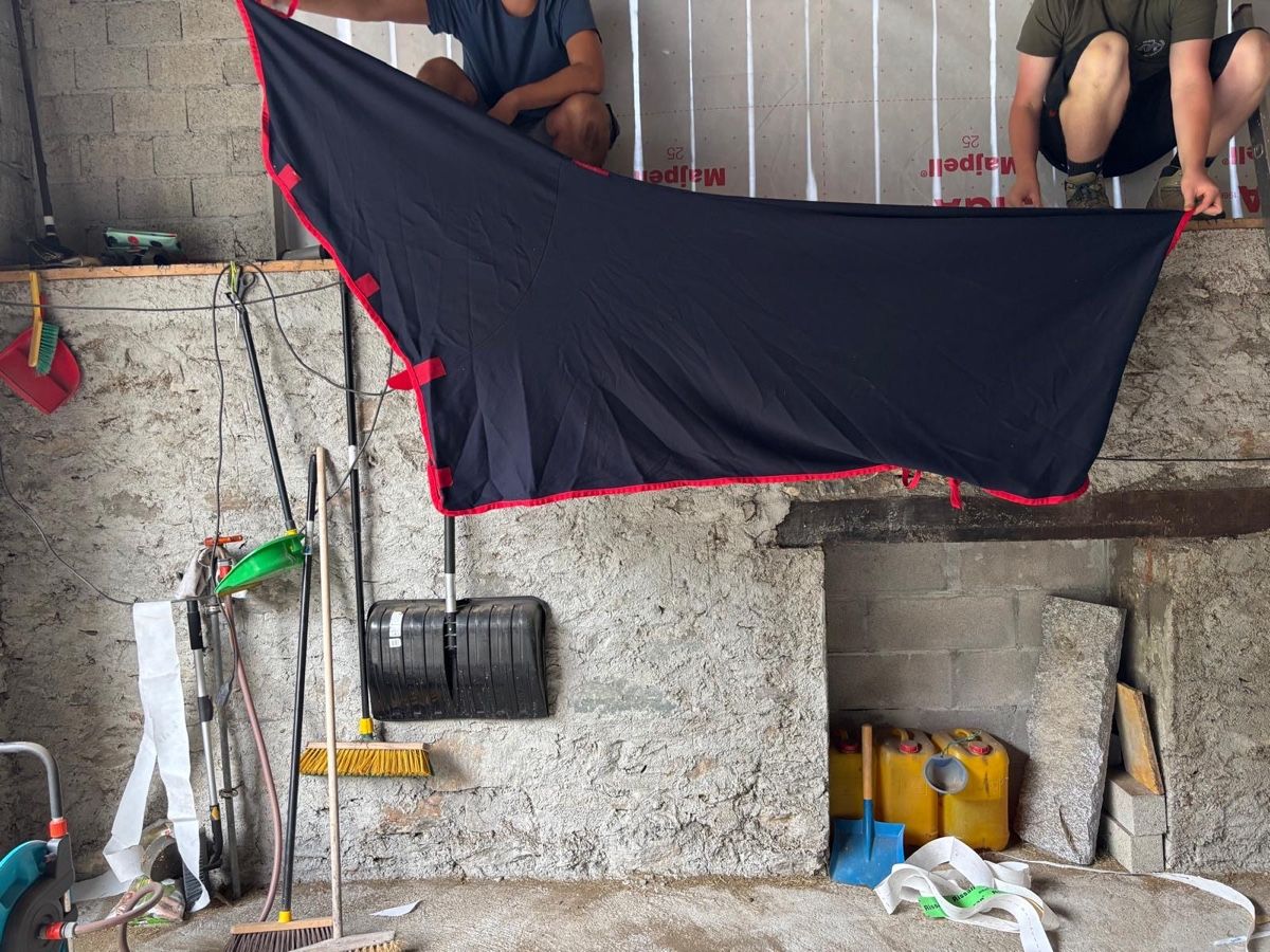 Altro in Accessori per animali: Set di Cavallo – Usato da Airolo venduto da dyl_jn5j 4
