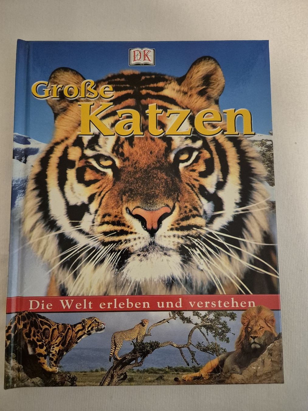 Bücher: Buch Grosse Katzen – Neu (gemäss Beschreibung) aus Baden von kae_n69w