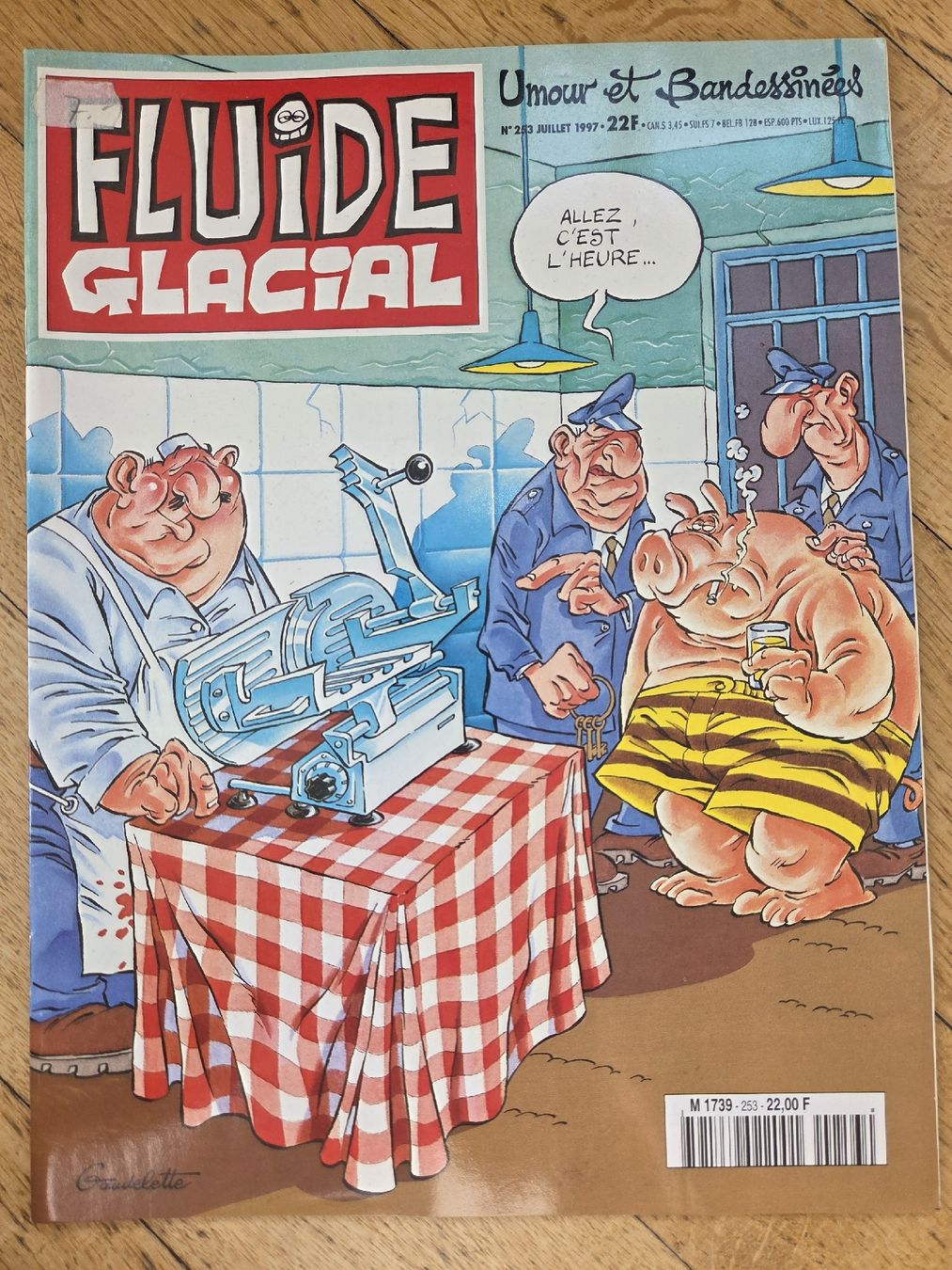 Fumetti: Fluide Glacial No 253 Juillet 1997  – Usato da Territet venduto da Cenh