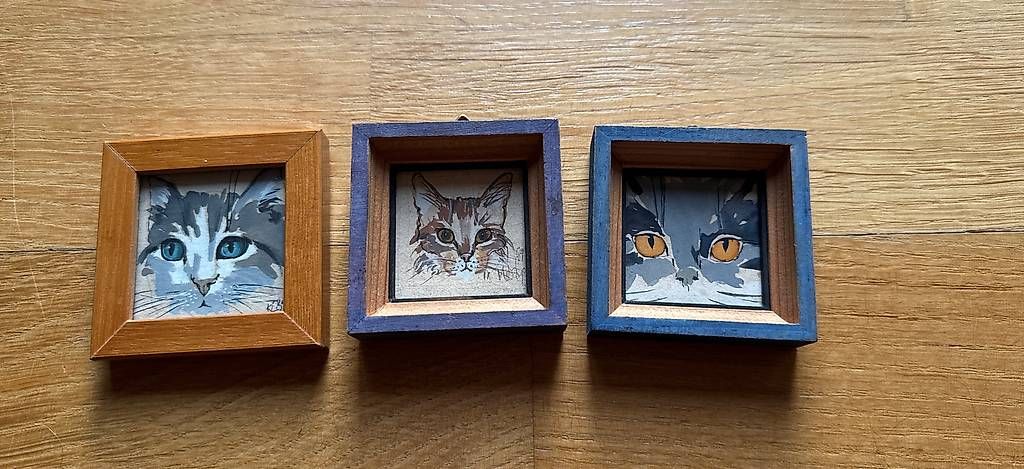 Foto & Immagini: 3 Original Katzenbilder – Usato da Basel venduto da Joshy03 2