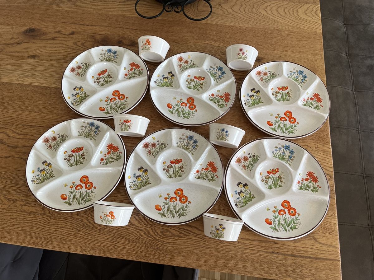 Set di piatti: Fondue Set – Usato da Schliern b. Köniz venduto da medion3098 2